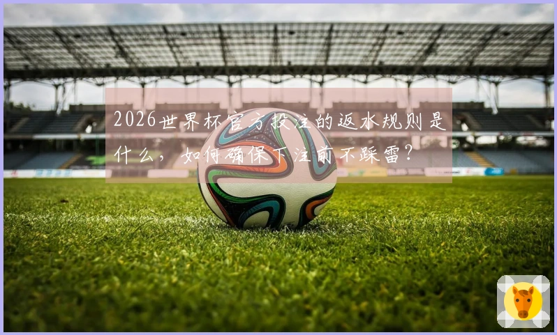 2026世界杯官方投注的返水规则是什么，如何确保下注前不踩雷？