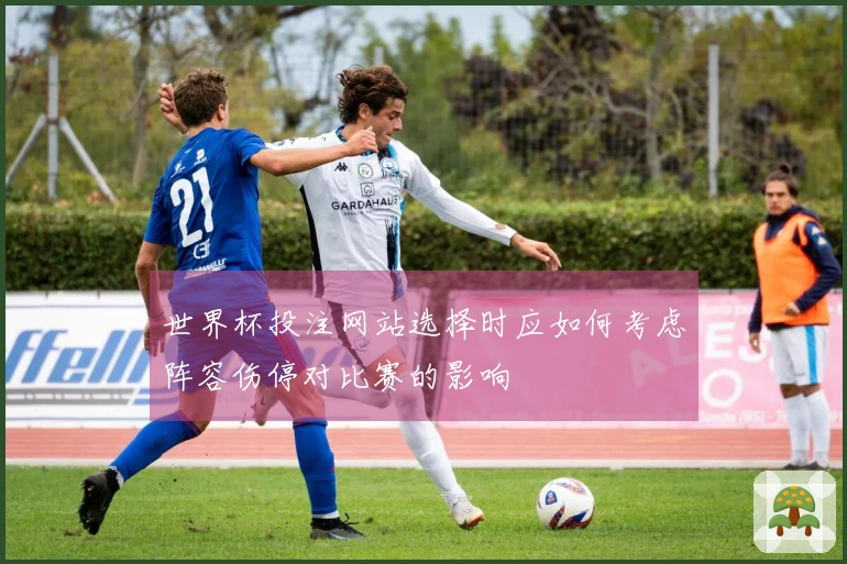 世界杯投注网站选择时应如何考虑阵容伤停对比赛的影响