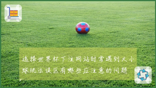 选择世界杯下注网站时常遇到大小球玩法误区有哪些应注意的问题