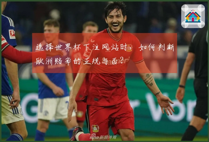 选择世界杯下注网站时，如何判断欧洲赔率的正规与否？