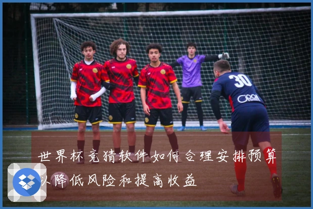 世界杯竞猜软件如何合理安排预算以降低风险和提高收益