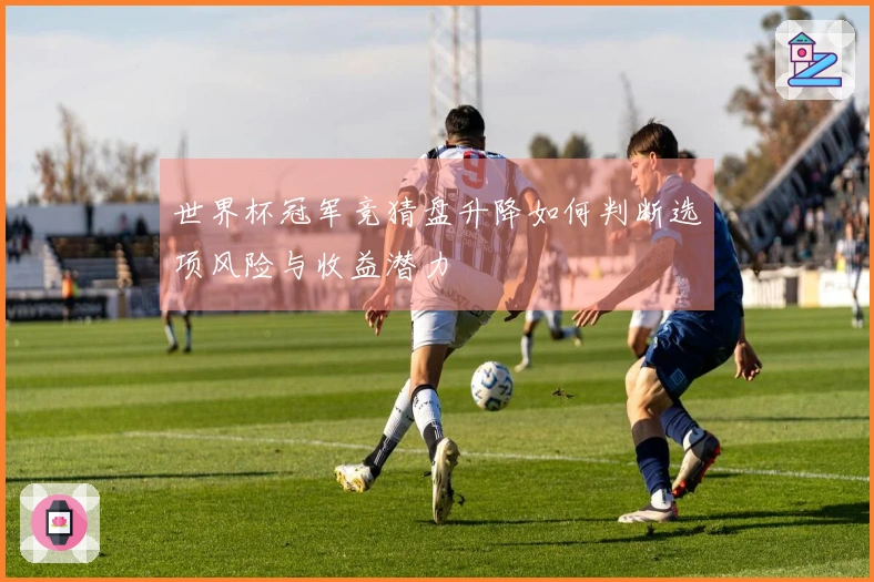 世界杯冠军竞猜盘升降如何判断选项风险与收益潜力