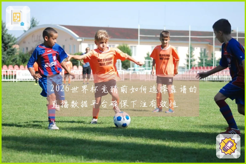 2026世界杯竞猜前如何选择靠谱的直播数据平台确保下注有效性