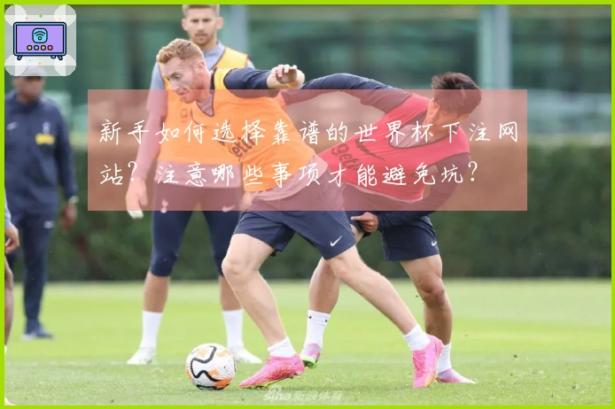 新手如何选择靠谱的世界杯下注网站？注意哪些事项才能避免坑？
