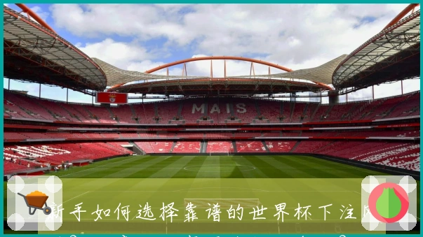 新手如何选择靠谱的世界杯下注网站？注意哪些事项才能避免坑？